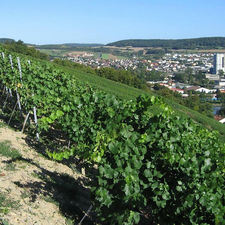Weinstube Schwalbennest Hotel คาร์ลชตัดท์ ภายนอก รูปภาพ