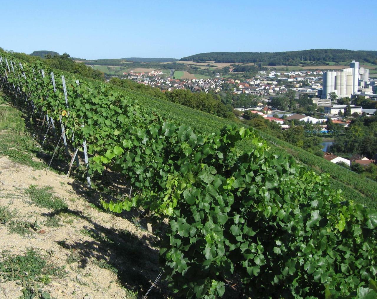 Weinstube Schwalbennest Hotel คาร์ลชตัดท์ ภายนอก รูปภาพ