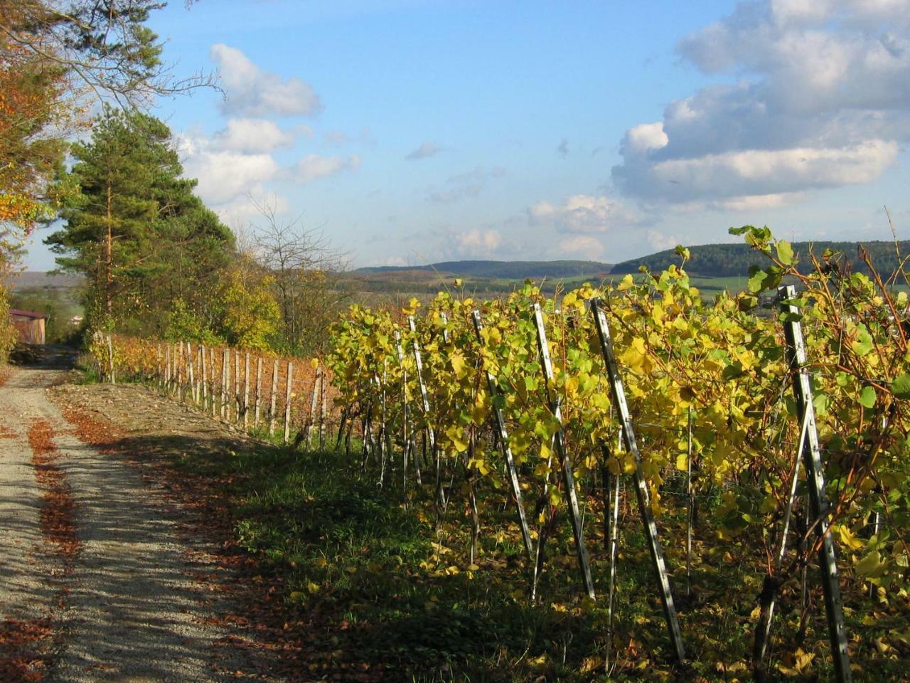 Weinstube Schwalbennest Hotel คาร์ลชตัดท์ ภายนอก รูปภาพ